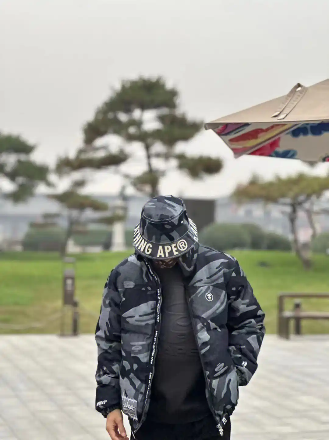 bape 外套、鯊魚外套與 aape 衣服價格全面解析